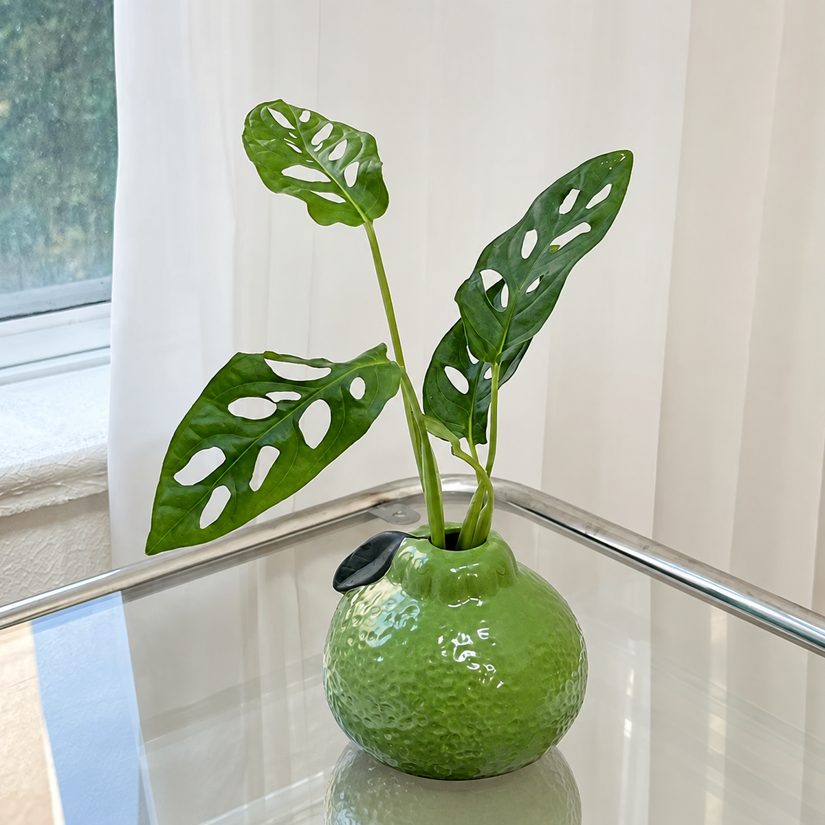 Zesty Little Lime Vase